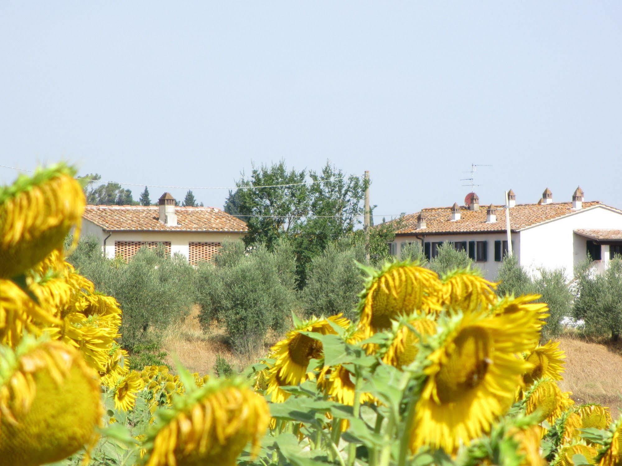 Locanda le Boscarecce Castelfiorentino Esterno foto
